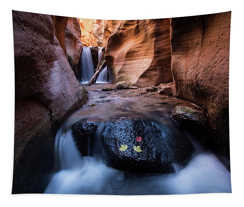 Utah Tapestry featuring the photograph Kanarra Creek by Wesley Aston
