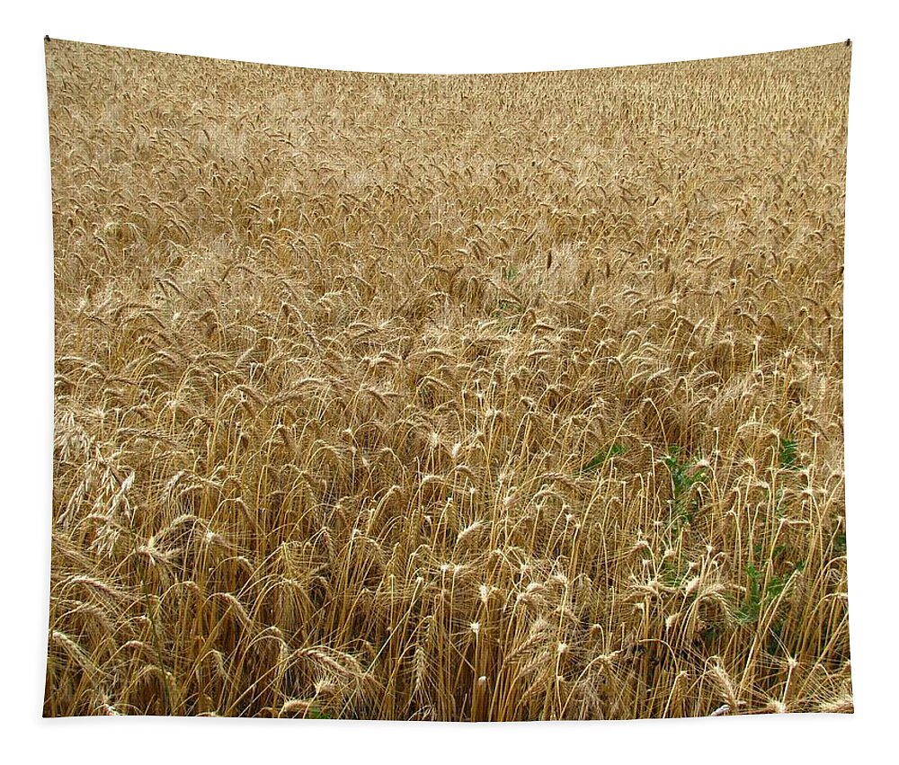Wheat Tapestry featuring the photograph Kansas Wheat by Keith Stokes