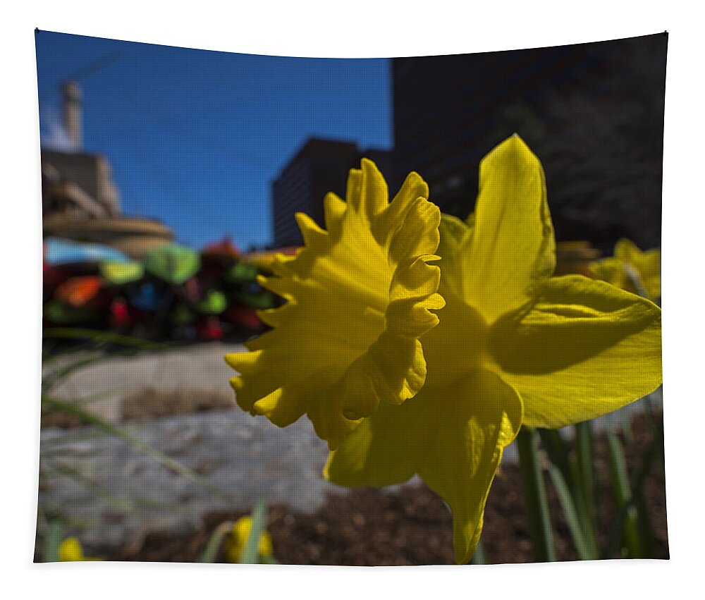 Kayak Tapestry featuring the photograph Kayak Launch Daffodil Cambridge MA by Toby McGuire