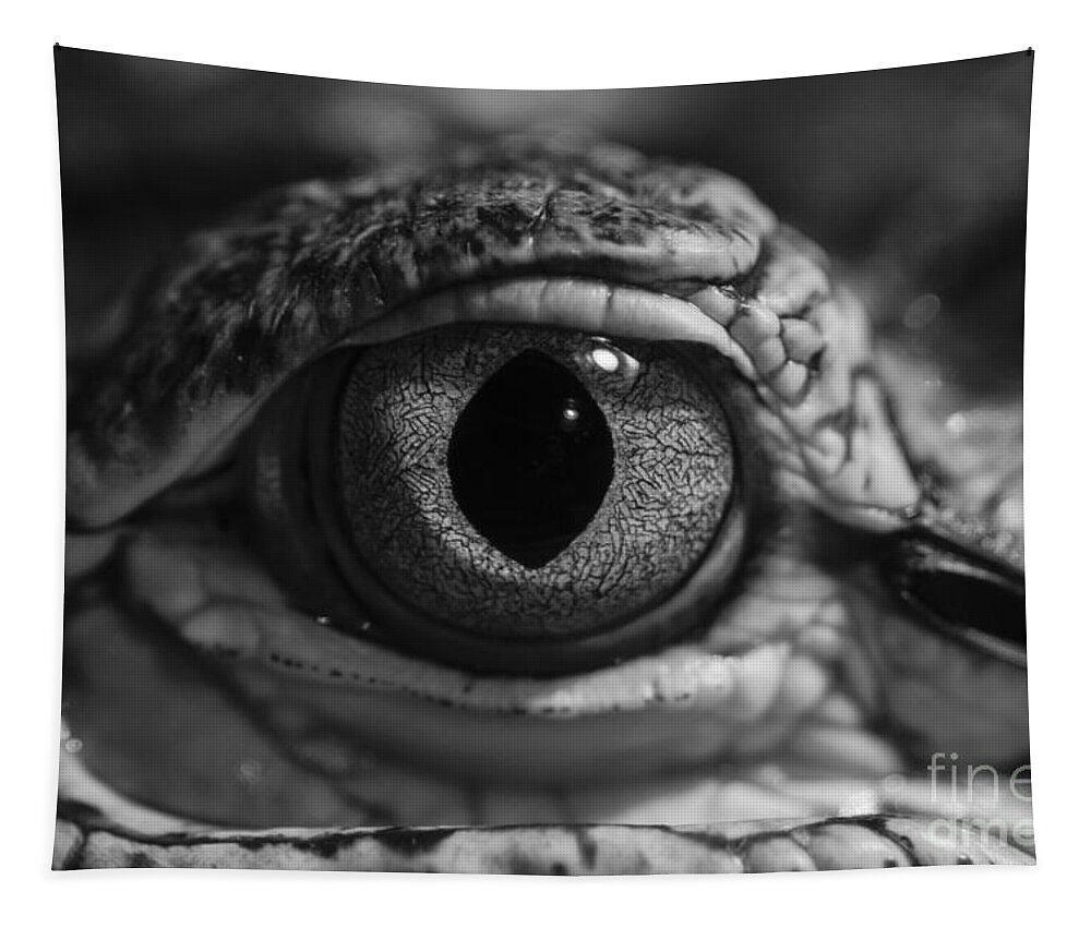 American Alligator Tapestry featuring the photograph Keeping an Eye on You by Jim Corwin