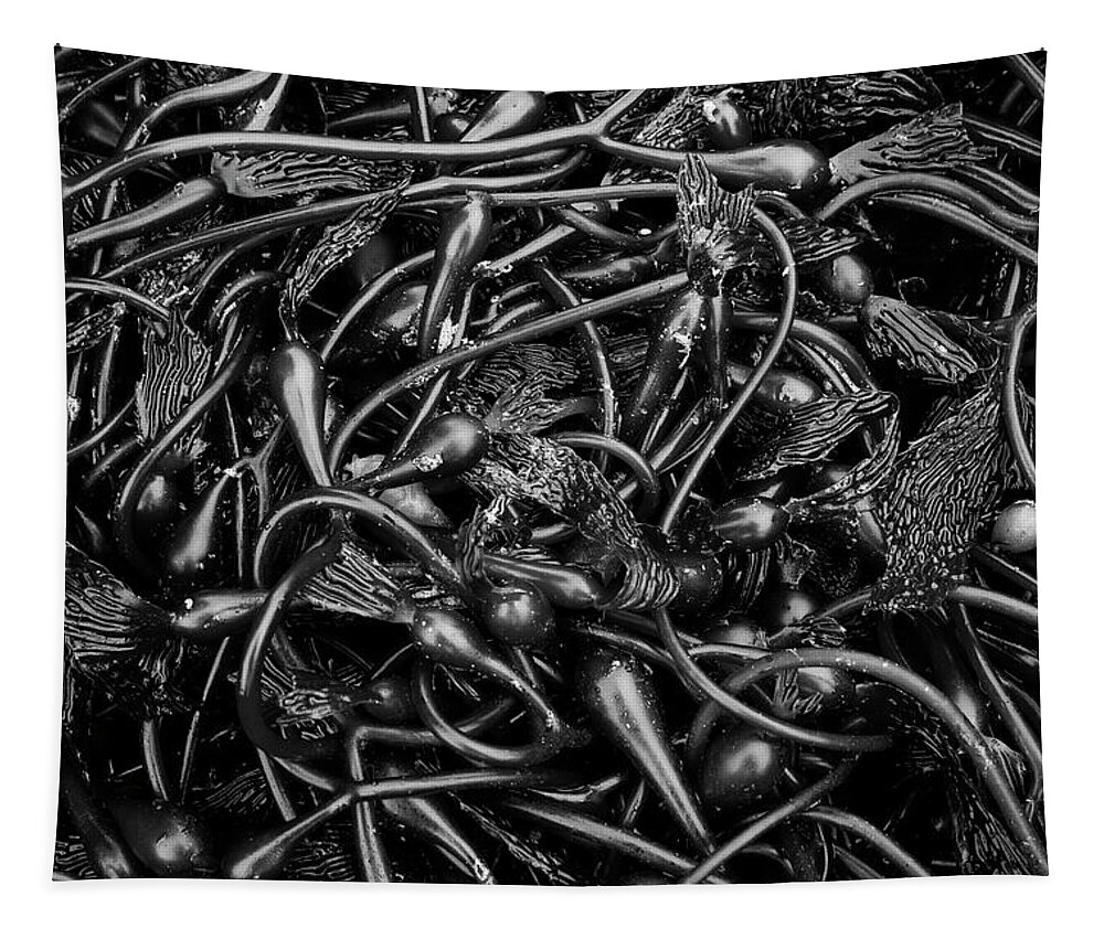 Kelp Tapestry featuring the photograph Kelp II BW by David Gordon