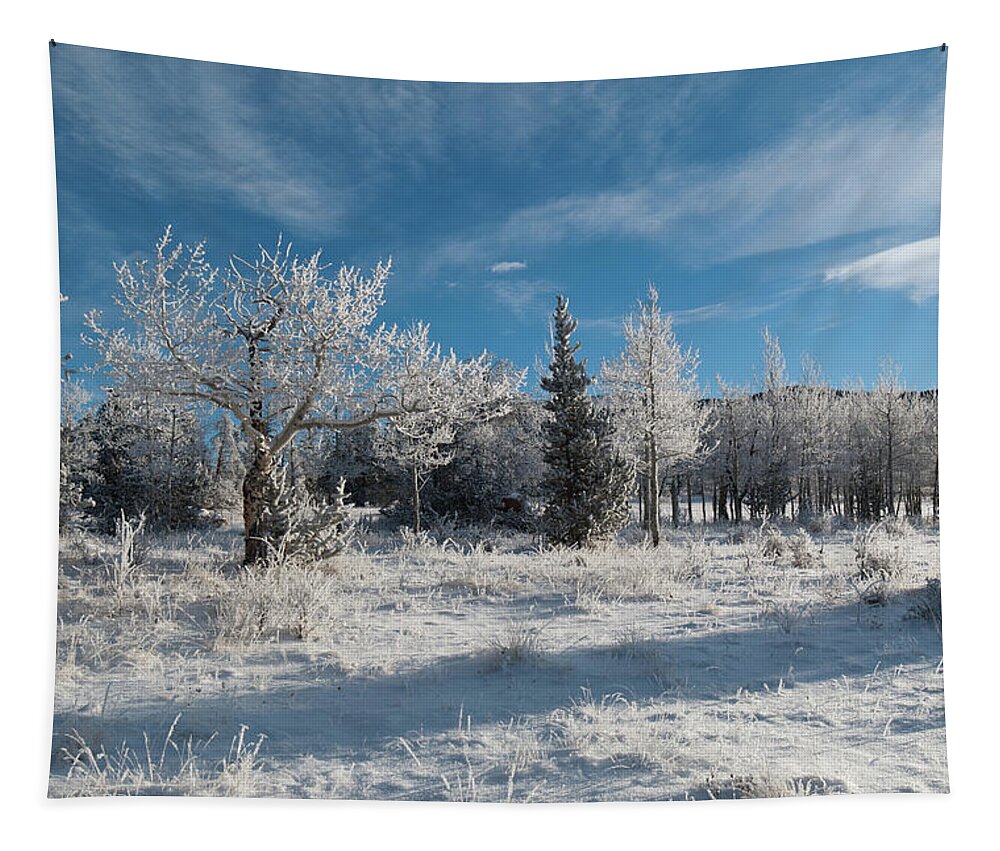 Kenosha Pass Tapestry featuring the photograph Kenosha Pass Blue and White Winter Landscape by Cascade Colors