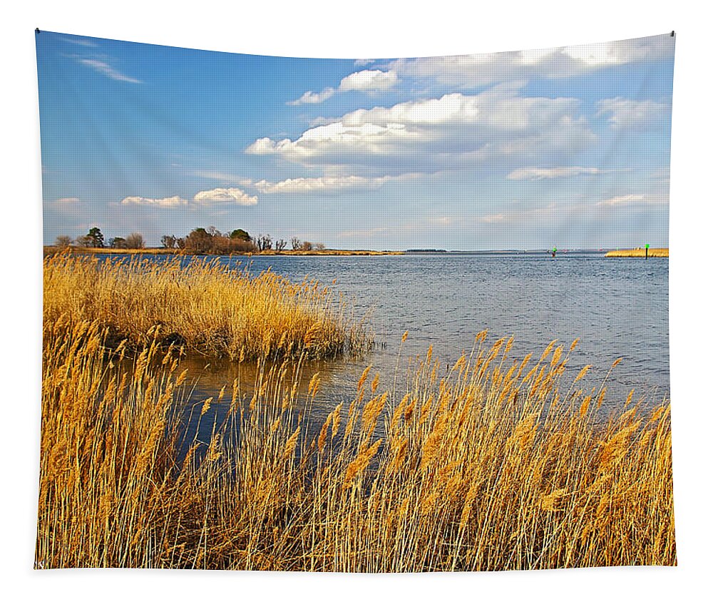 2d Tapestry featuring the photograph Kent Island by Brian Wallace