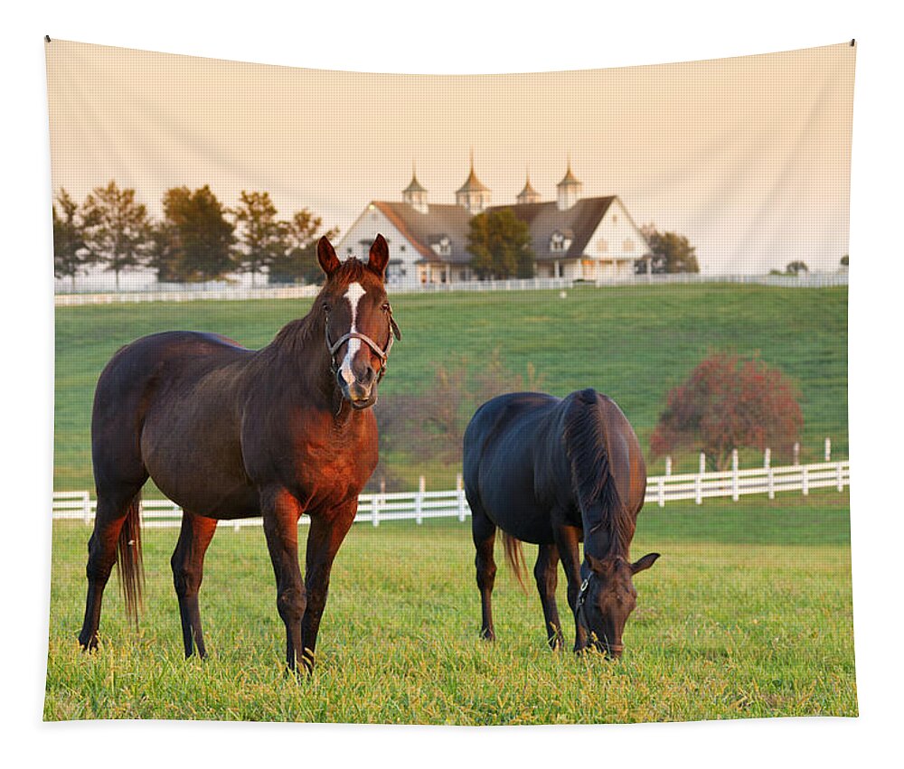 Farm Tapestry featuring the photograph Kentucky Pride by Alexey Stiop