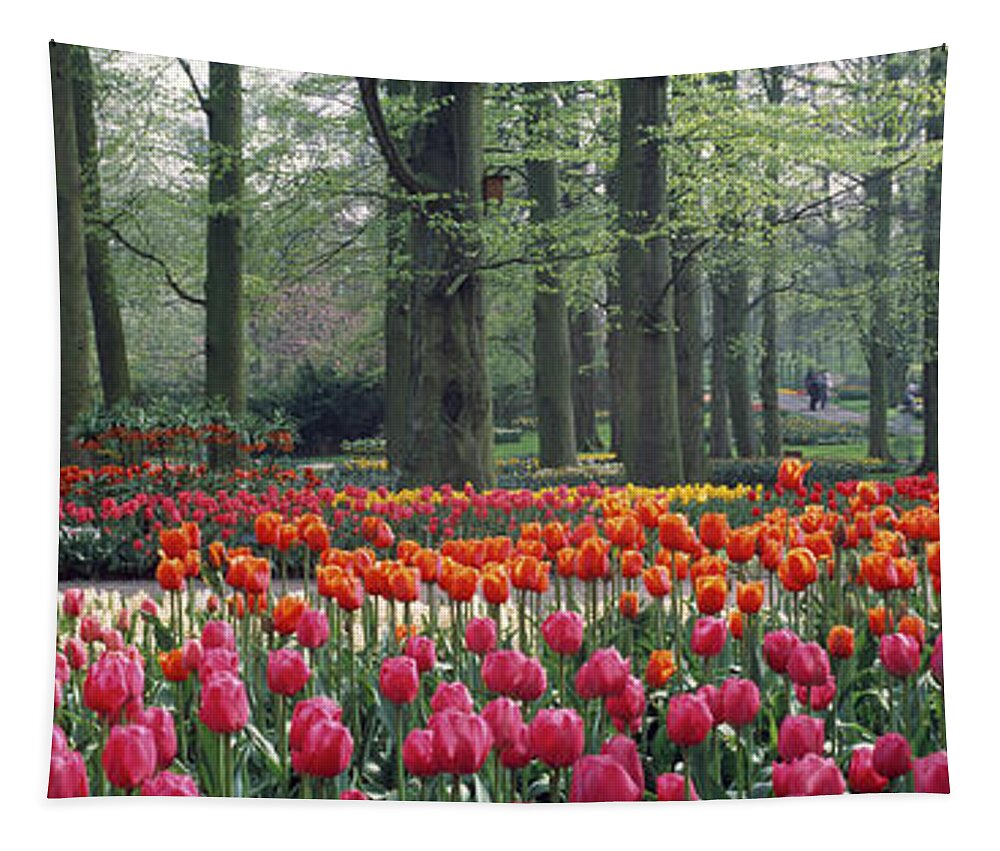 Photography Tapestry featuring the photograph Keukenhof Garden, Lisse, The Netherlands by Panoramic Images