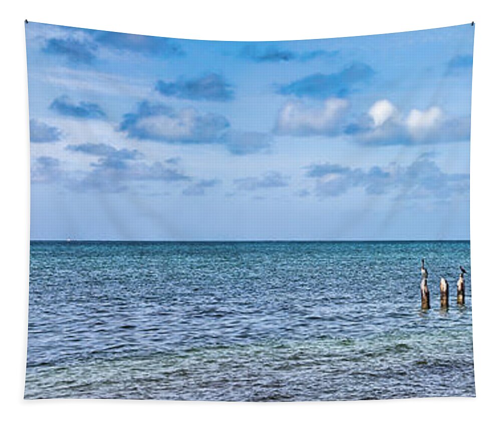 Panorama Tapestry featuring the photograph Key West Ocean View Panorama by Bob Slitzan