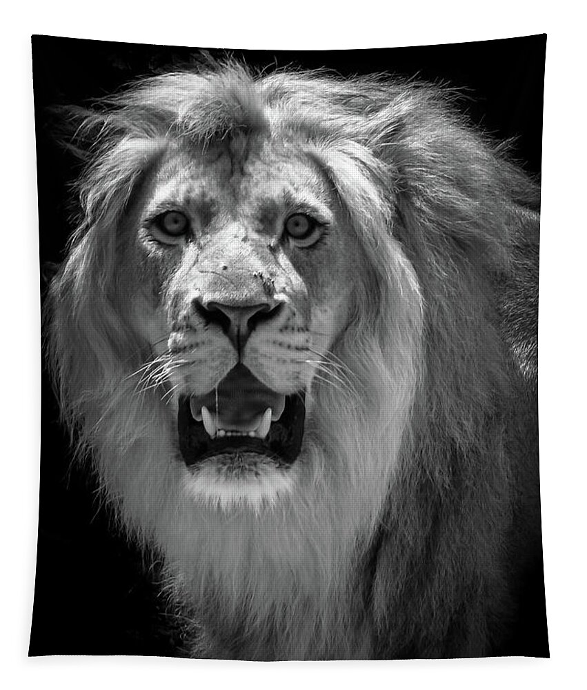 Lion Tapestry featuring the photograph King Of The Jungle by Adrian De Leon Art and Photography
