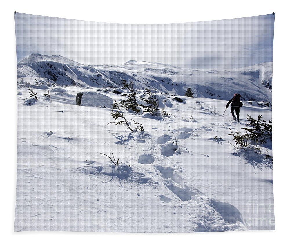 White Mountains Tapestry featuring the photograph King Ravine - White Mountains New Hampshire USA by Erin Paul Donovan