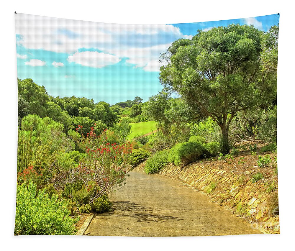 Cape Town Tapestry featuring the photograph Kirstenbosch in Cape Town by Benny Marty