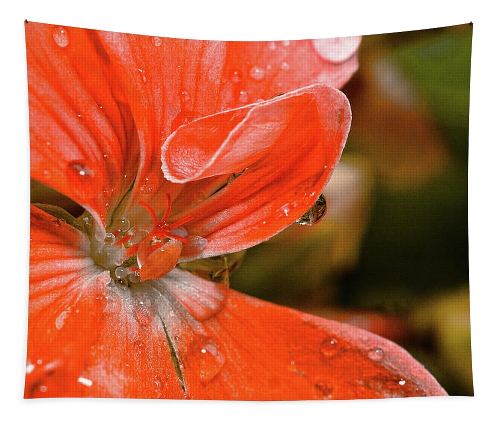 Flower Tapestry featuring the photograph Kissed By The Rain by Christopher Holmes