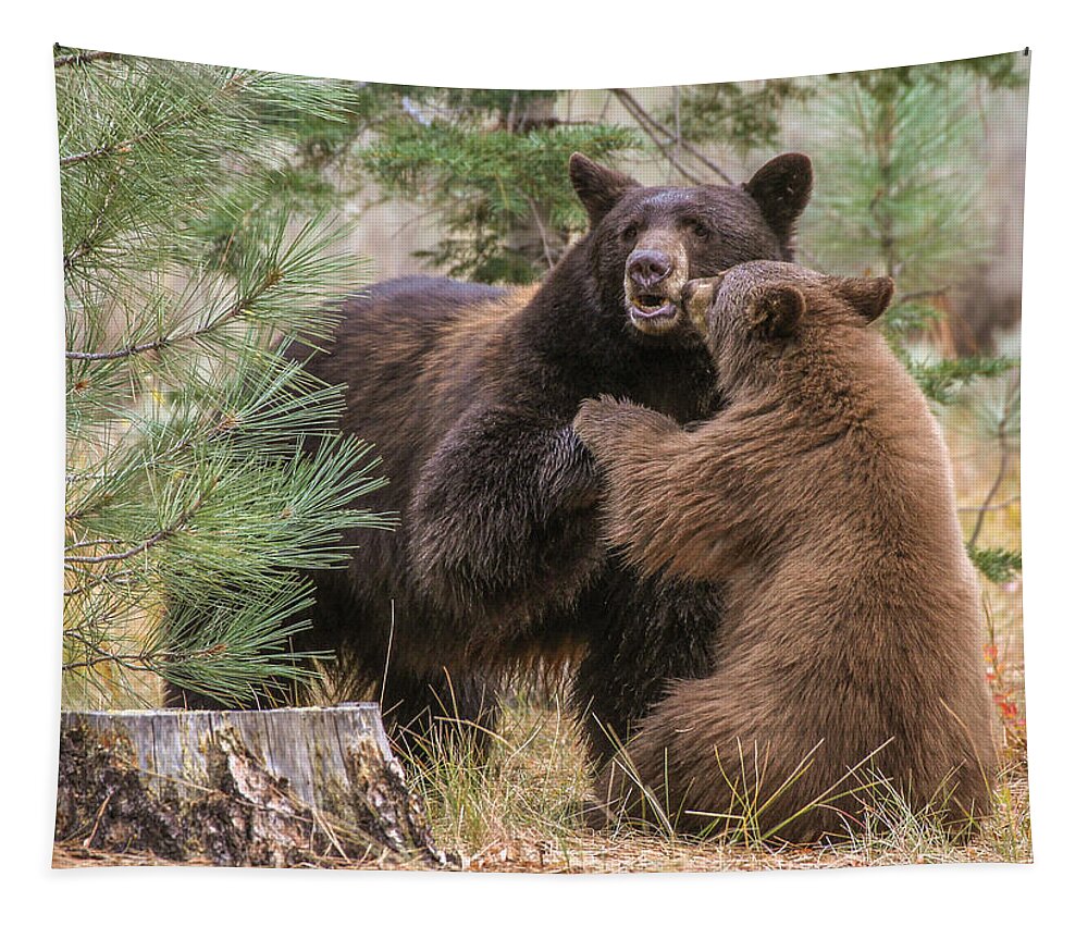 Lake Tahoe Tapestry featuring the photograph Kissing bears by John T Humphrey