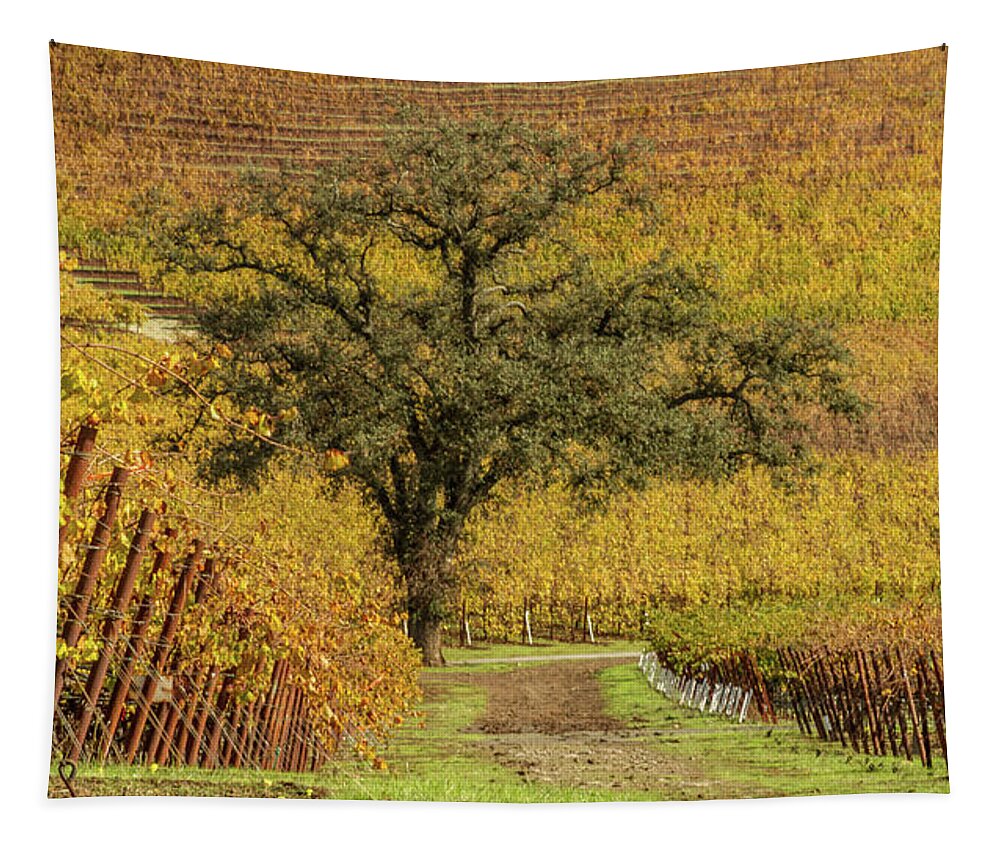 Wine Tapestry featuring the photograph Kunde Vineyards by Bill Gallagher