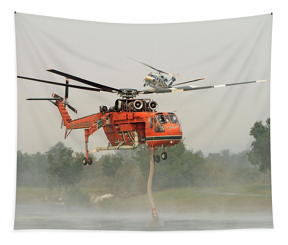 Erickson Sky Crane Tapestry featuring the photograph La Tuna Fire 22 by Shoal Hollingsworth