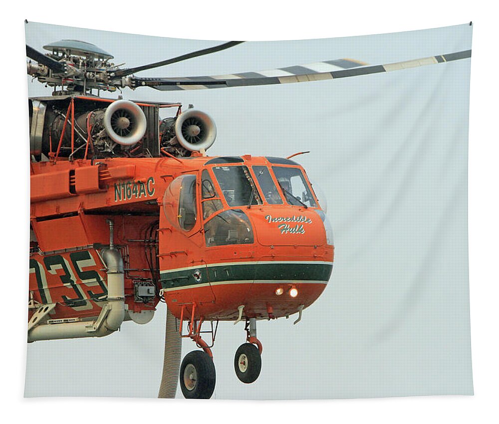 Erickson Sky Crane Tapestry featuring the photograph La Tuna Fire 58 by Shoal Hollingsworth