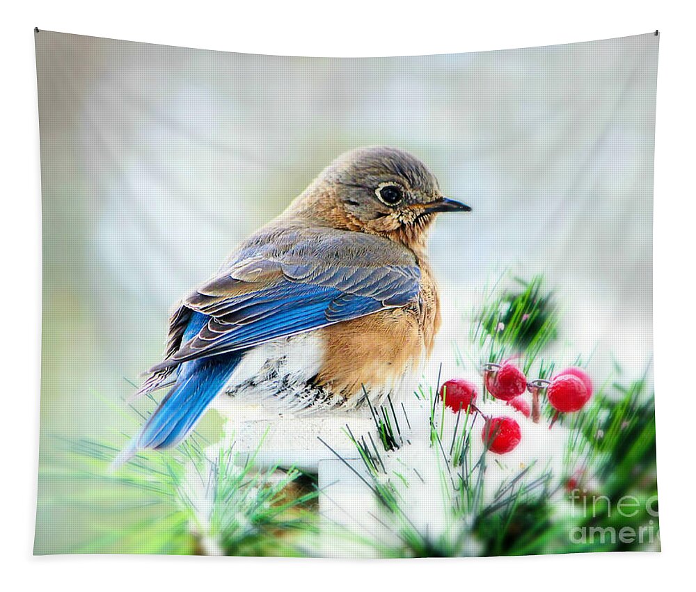 Bluebird Tapestry featuring the photograph Lady Bluebird by Tina LeCour