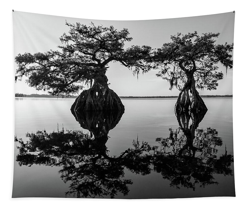 Florida Tapestry featuring the photograph Lake Disston Old Couple by Stefan Mazzola