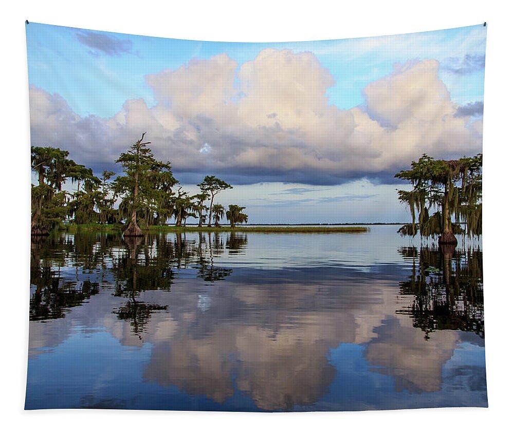 Florida Tapestry featuring the photograph Lake Mirror by Stefan Mazzola