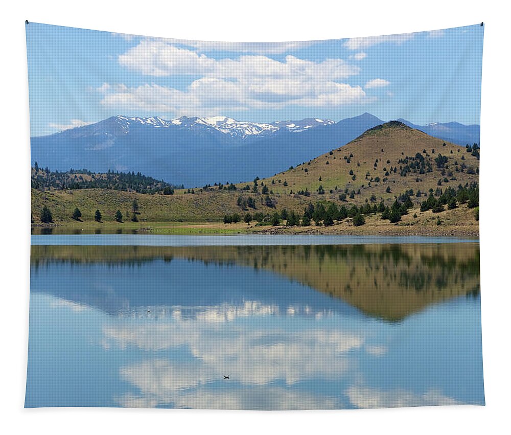 Lake Shasta Tapestry featuring the photograph Lake Shasta by Richard J Cassato