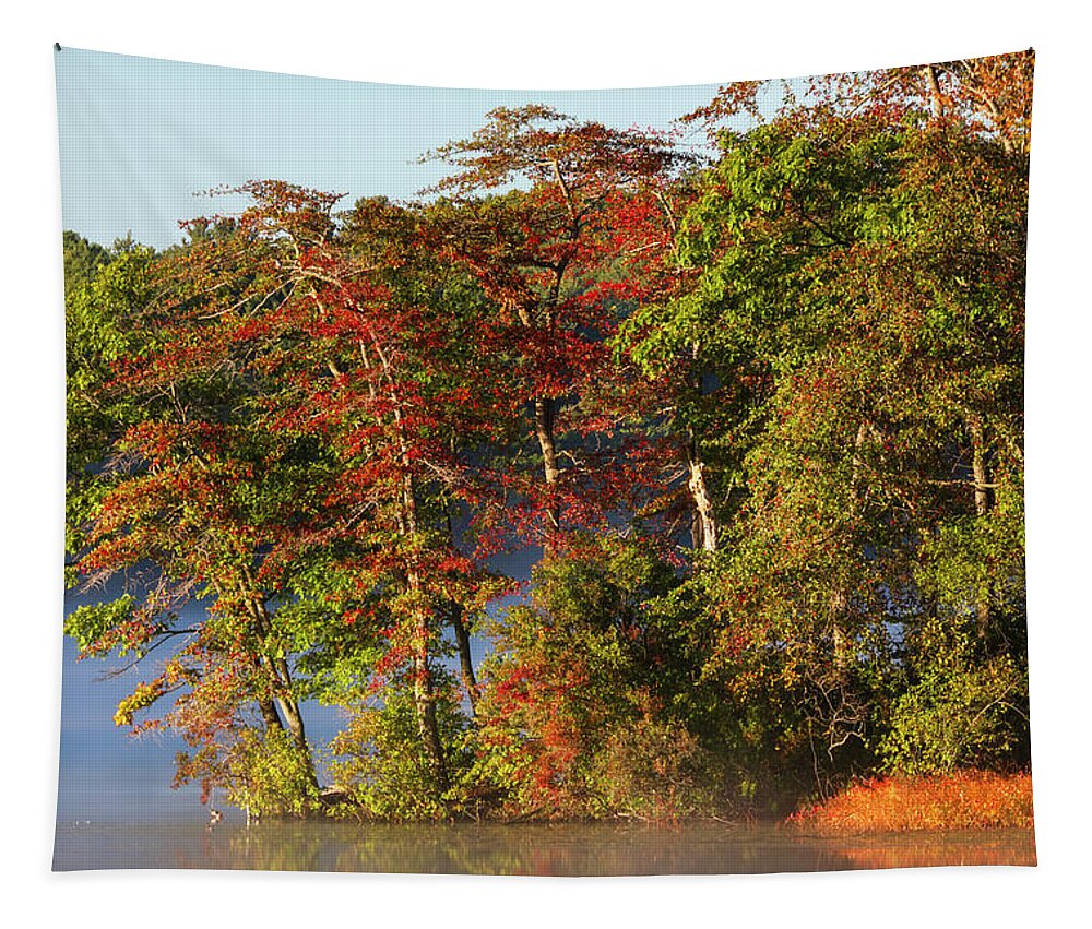 Lake Waban Tapestry featuring the photograph Lake Waban Fall Foliage by Juergen Roth
