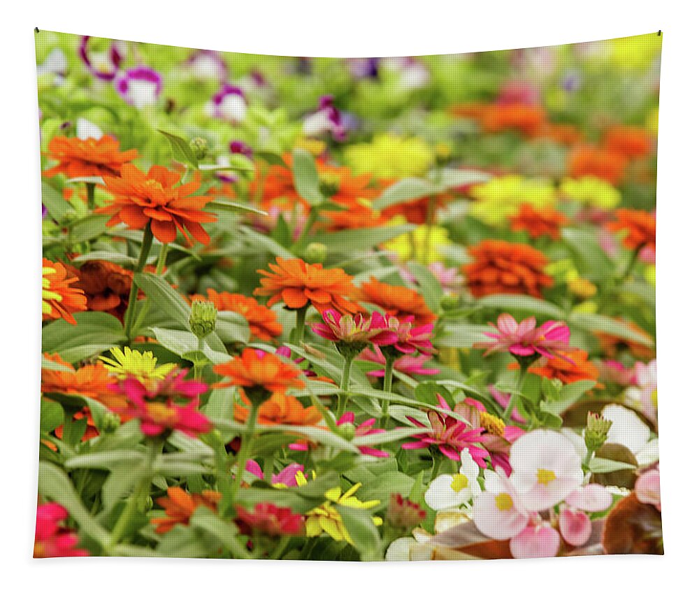 Bangalore Tapestry featuring the photograph Lalbagh flower show by SAURAVphoto Online Store