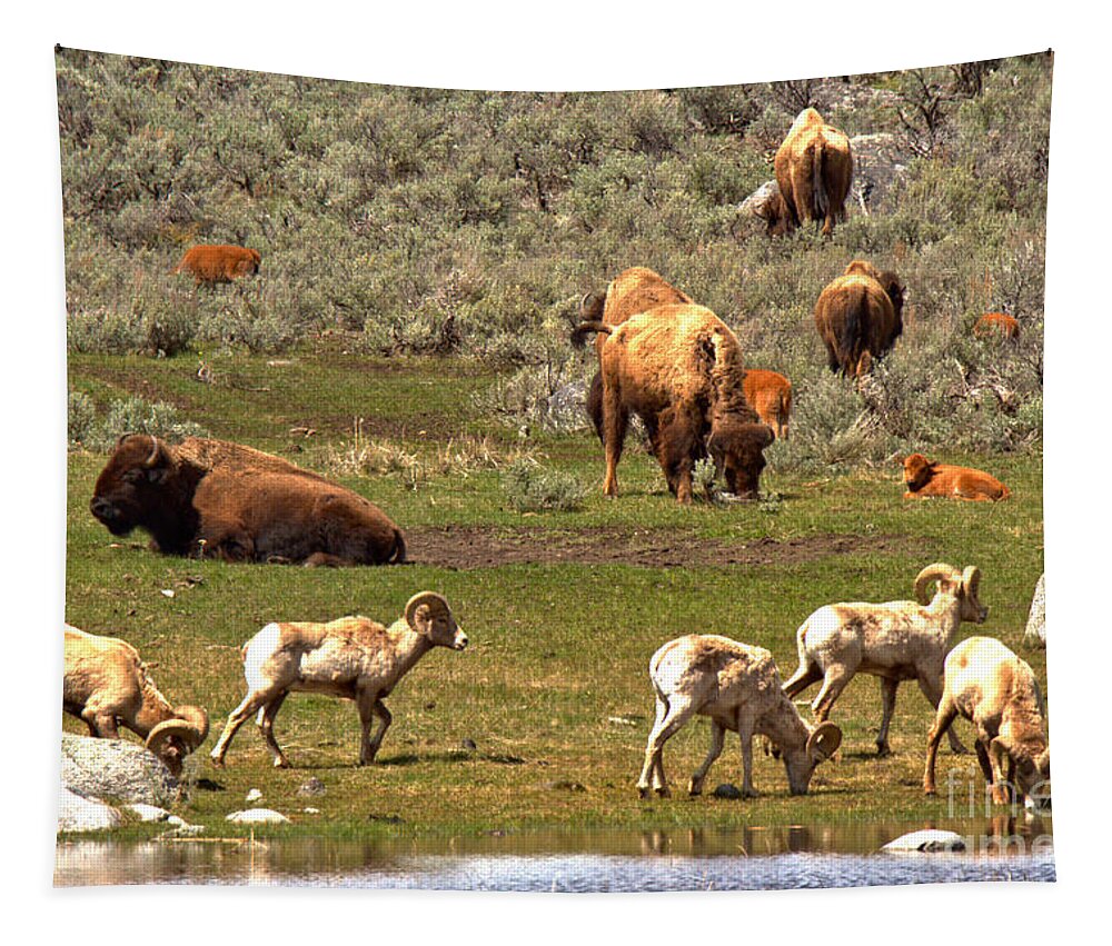 Bison Tapestry featuring the photograph Lamar Valley Wildlife Picnic by Adam Jewell