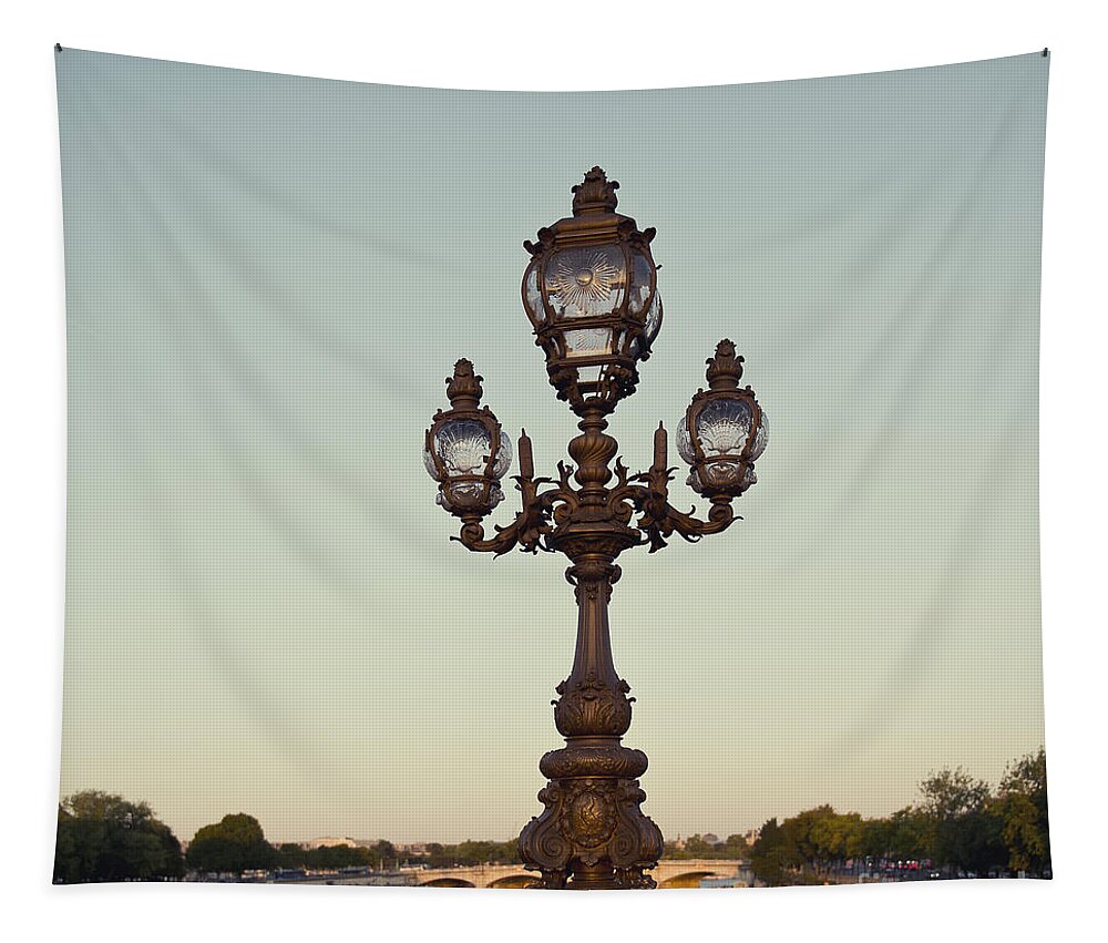 Photography Tapestry featuring the photograph Lamp post on the River Seine in Paris by Ivy Ho