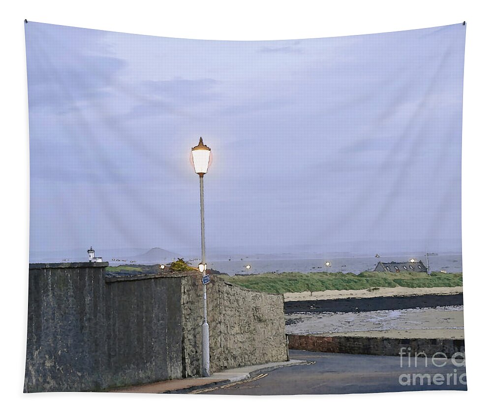 Lamppost In The Dusk Tapestry featuring the photograph Lamppost. Night is coming. by Elena Perelman