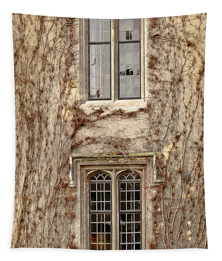 Winter Tapestry featuring the photograph Lancet windows and climbers around them. Winter time. by Elena Perelman