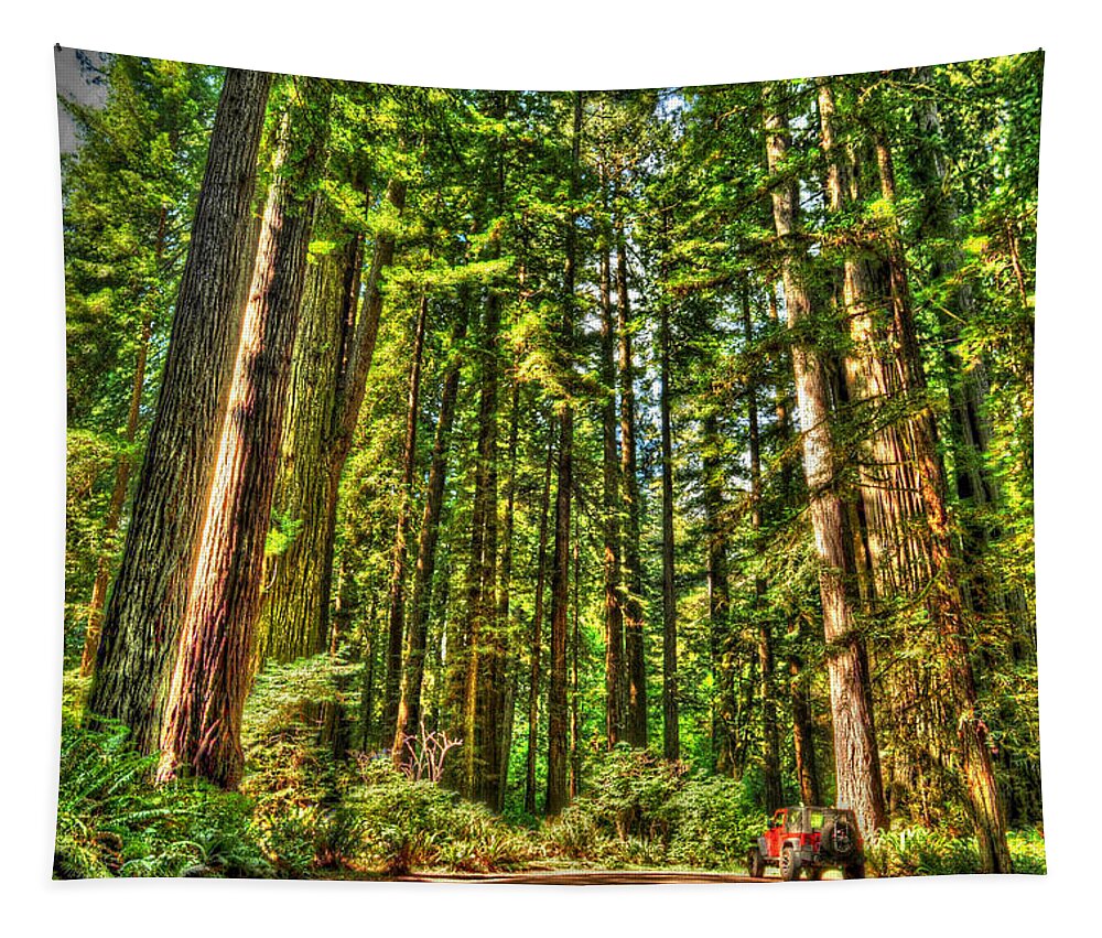 Photograph Tapestry featuring the photograph Land of the Giants by Richard Gehlbach