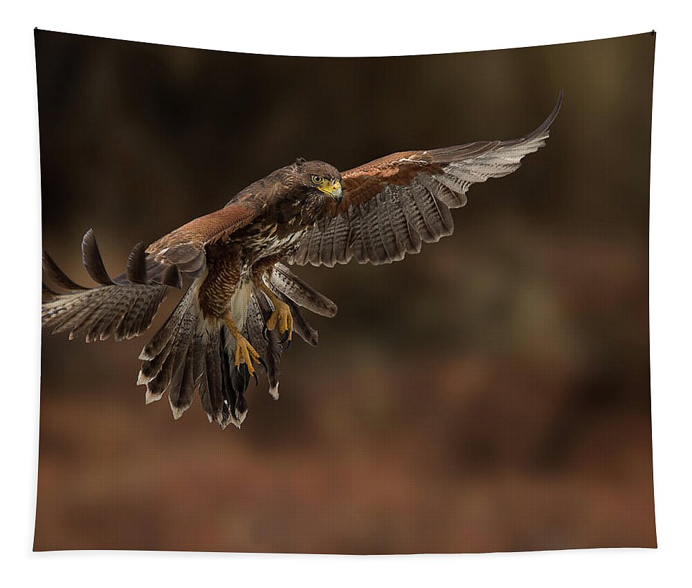 Bird Tapestry featuring the photograph Landing Approach by Bruce Bonnett