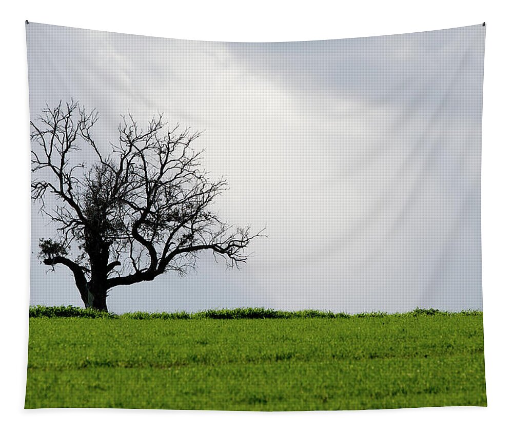 Olive Tree Tapestry featuring the photograph Landscape, Lonely olive tree in a green meadow by Michalakis Ppalis