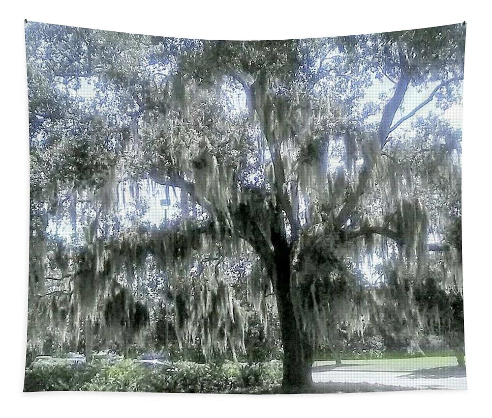 Tree. Florida Tapestry featuring the photograph Largo's Spanish Moss by Suzanne Berthier