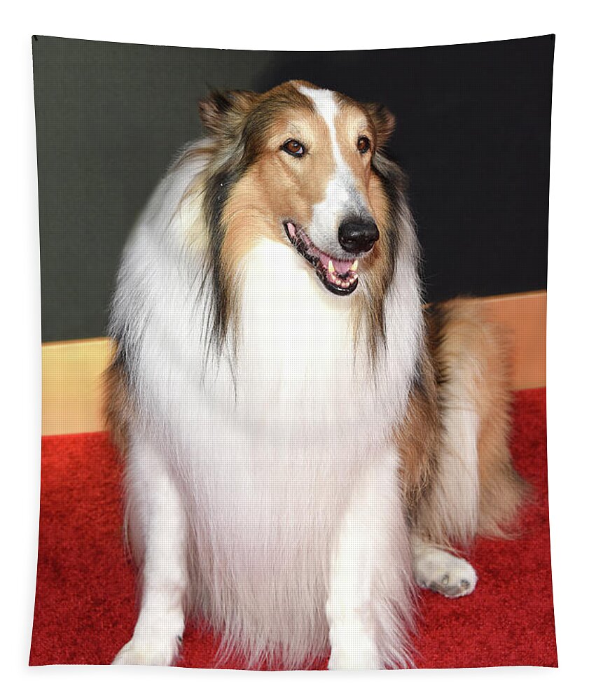 Lassie Tapestry featuring the photograph Lassie by Nina Prommer