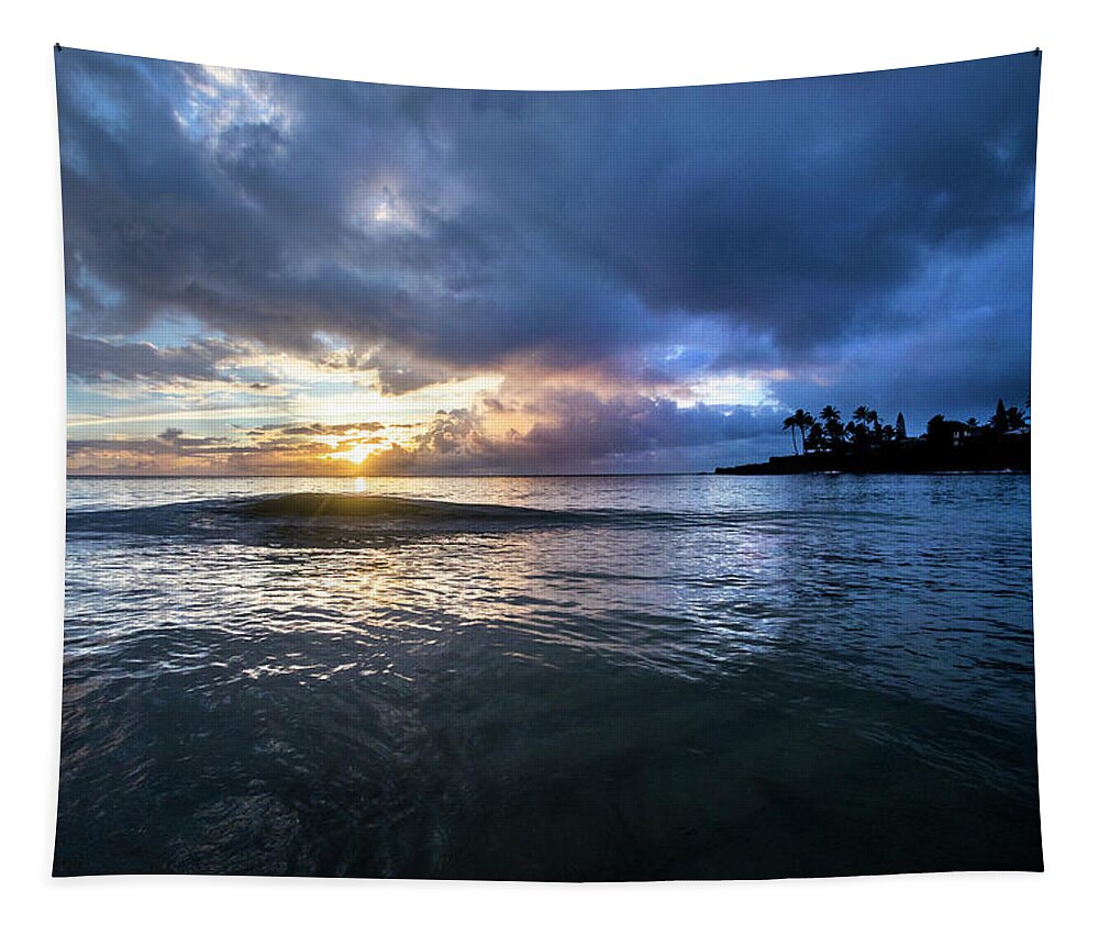 Sunset Tapestry featuring the photograph Last Call by Sean Davey