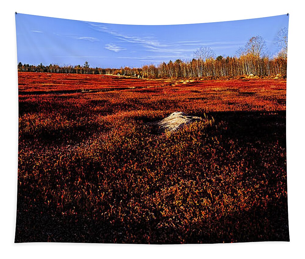 Blueberry Fields Tapestry featuring the photograph Late Autumn Crimson Blueberry Barrens by Marty Saccone