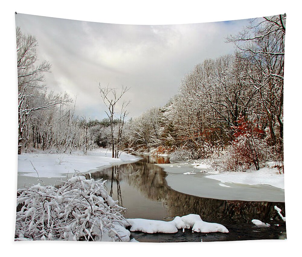 Snow Tapestry featuring the photograph Late Winter Storm by Frank Winters
