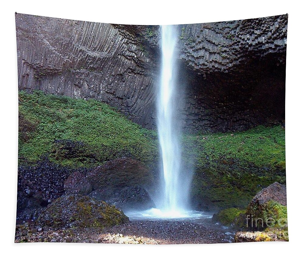 Latourel Falls Tapestry featuring the photograph Latourel Falls by Charles Robinson