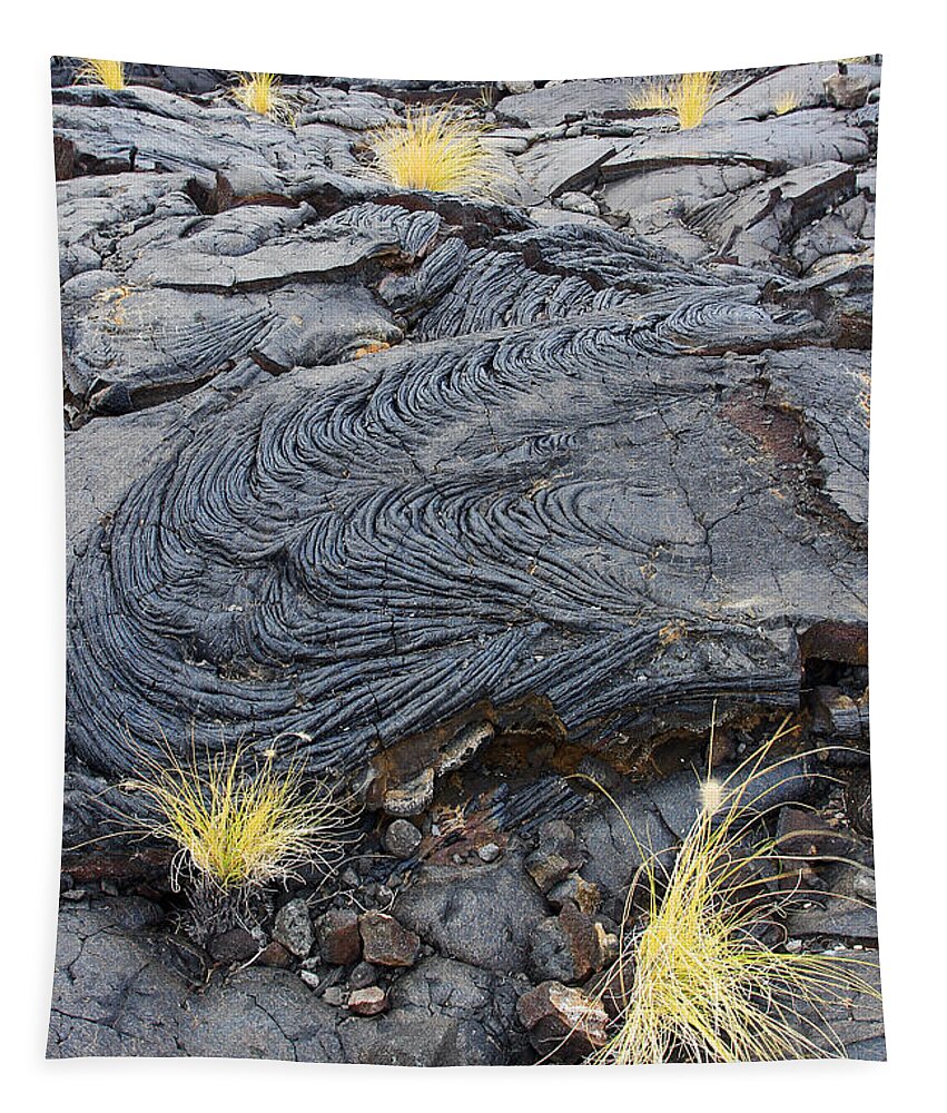 Lava Fields Tapestry featuring the photograph Lava Fields by Jennifer Robin