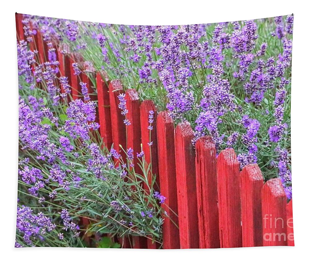 Countryside Tapestry featuring the photograph Lavender around a red wooden fence by Amanda Mohler