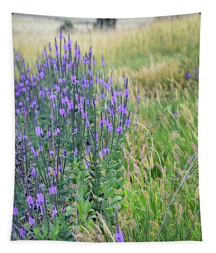 Verbena Hills Photography Tapestry featuring the photograph Verbena Hills by Karen Jorstad