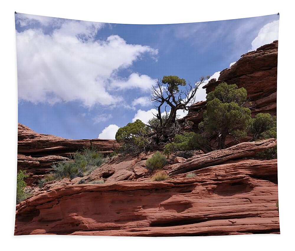 Canyonlands National Park Tapestry featuring the photograph Layers Upon Layers by Frank Madia