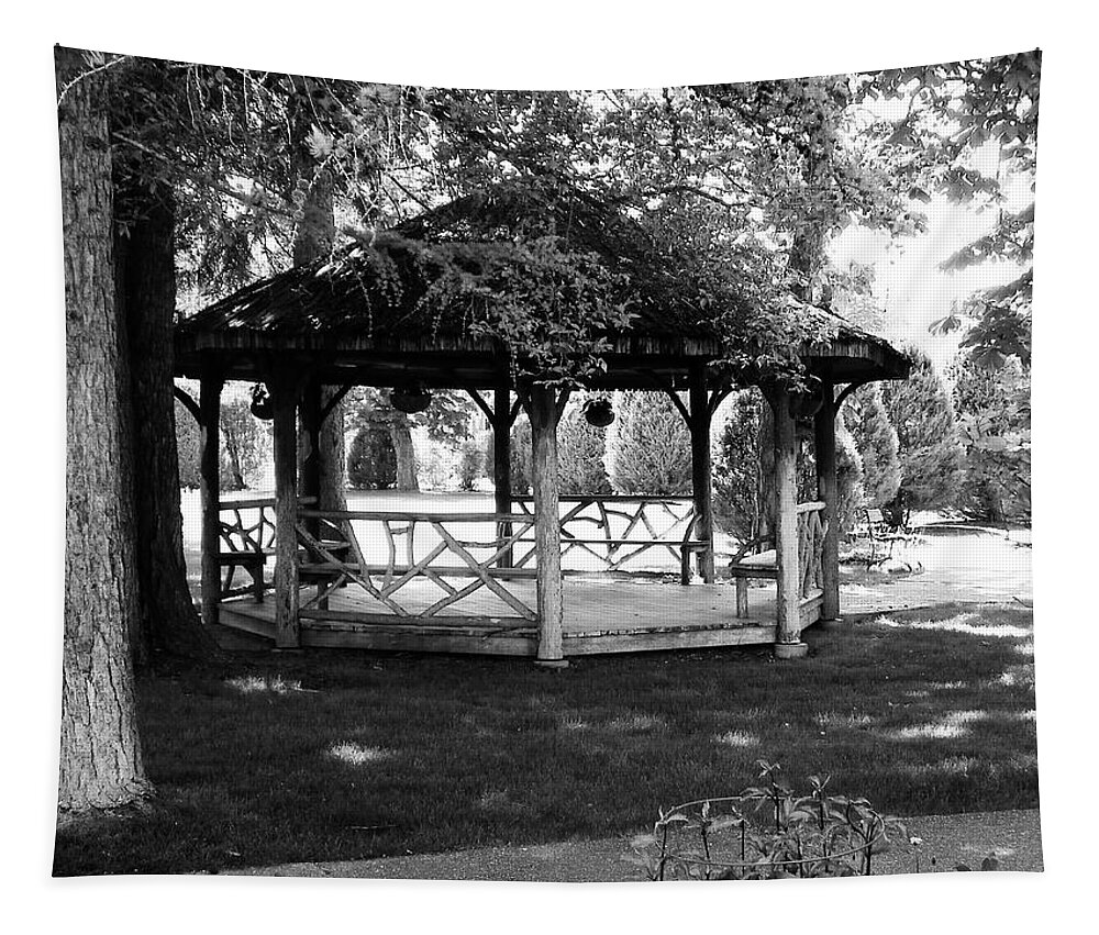 Outdoor Tapestry featuring the photograph Lazy Day by Simply Summery