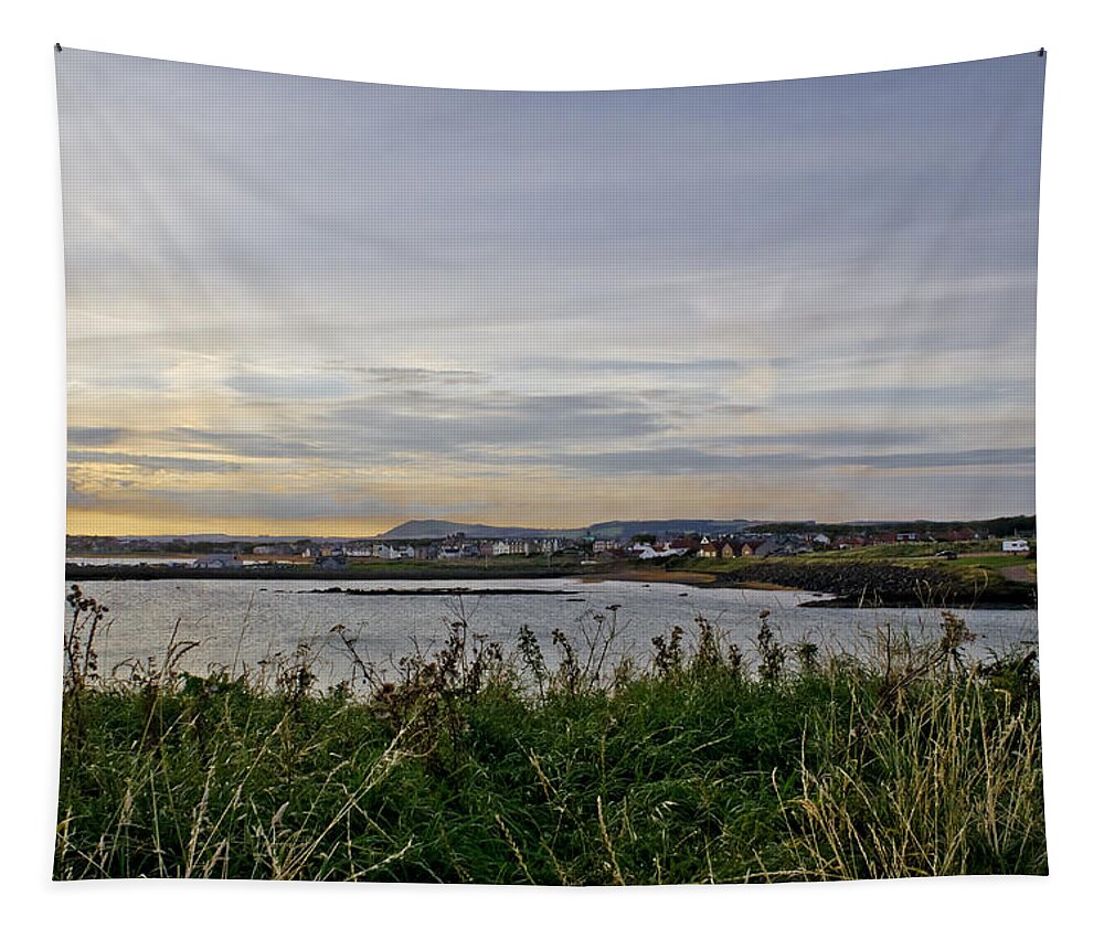 Evening Landscape Tapestry featuring the photograph Leading to the Twilight. by Elena Perelman