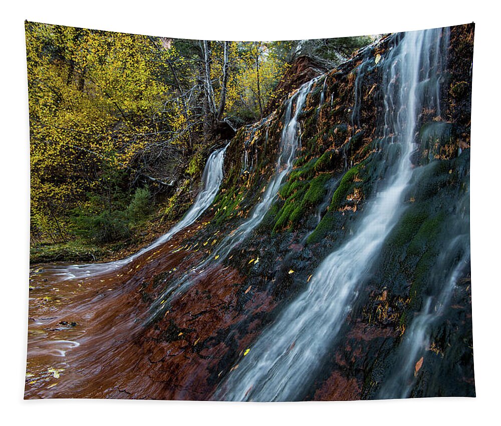 Waterfall Tapestry featuring the photograph Left Fork Waterfall by Wesley Aston