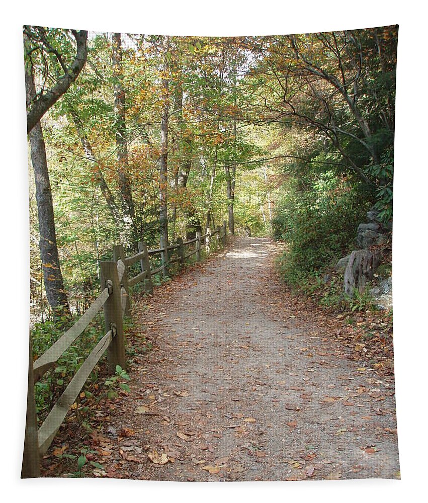 Path Tapestry featuring the photograph Leisurely Walks Calm The Soul by Allen Nice-Webb