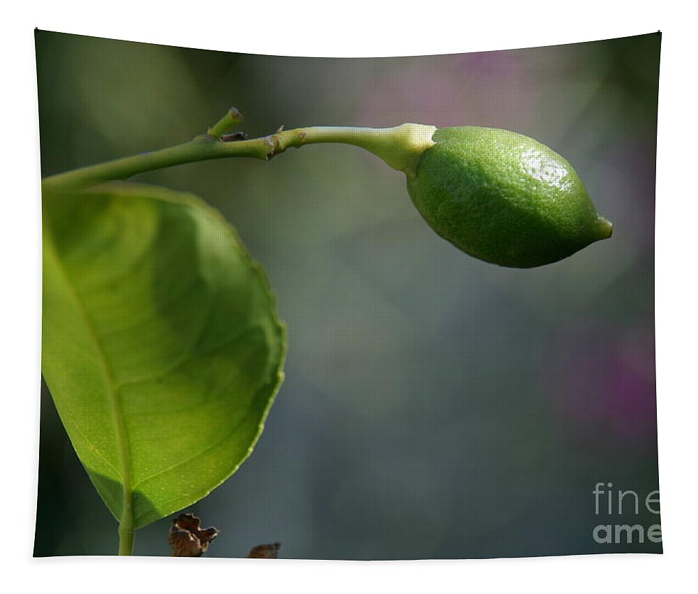 Lemon Tapestry featuring the photograph Lemon by Eileen Gayle