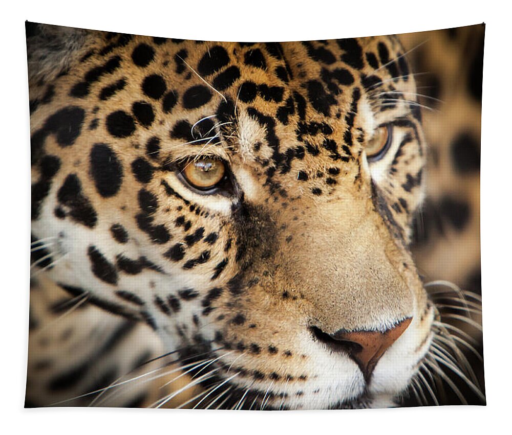 Africa Tapestry featuring the photograph Leopard Face by John Wadleigh