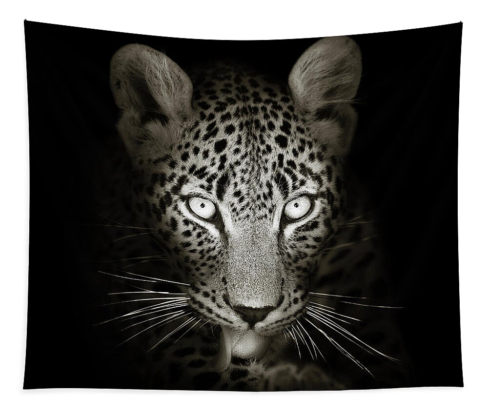 Leopard Tapestry featuring the photograph Leopard portrait in the dark by Johan Swanepoel