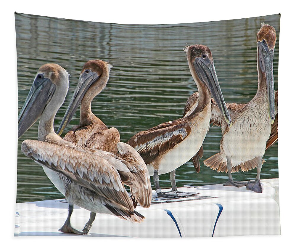 Pelican Tapestry featuring the photograph Lets Go Fishing by Bob Slitzan