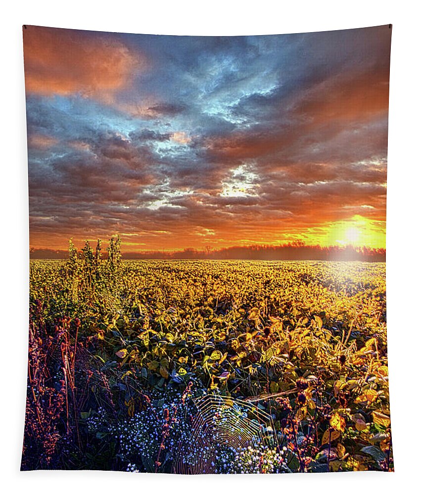 Clouds Tapestry featuring the photograph Letting It Be by Phil Koch